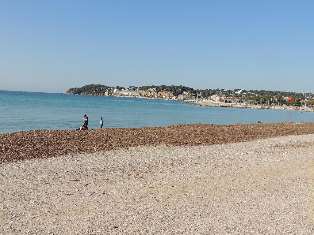 2024 11 02 EN FLANANT SUR SANARY (1).jpg